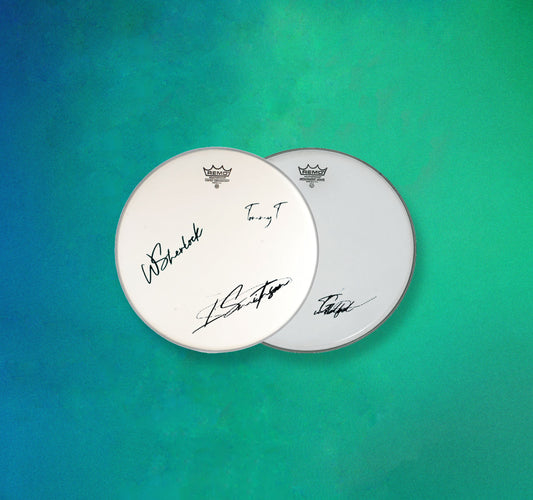 Snare drum skin